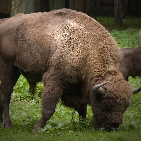 Morskie Ogrody Pobierowo