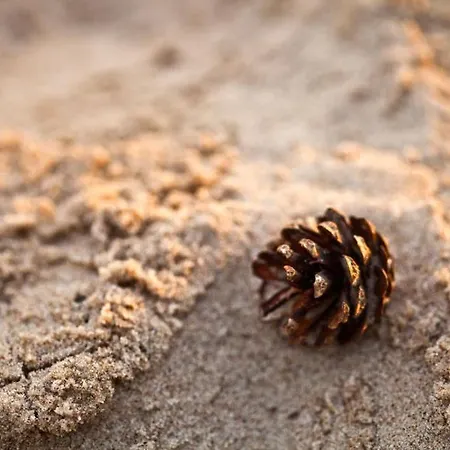 Morskie Ogrody Apartament