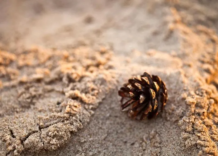 Morskie Ogrody Appartamento